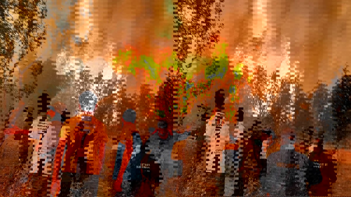 وسط "توقعات" بأنها مفتعلة.. من يقف خلف حرائق الجزائر؟