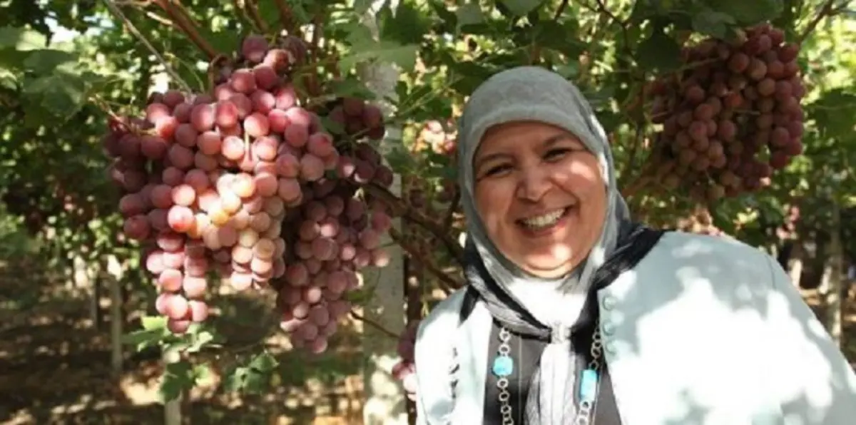 جدل في تونس بعد زيارة قيادية في حركة النهضة معصرة للخمور (فيديو)