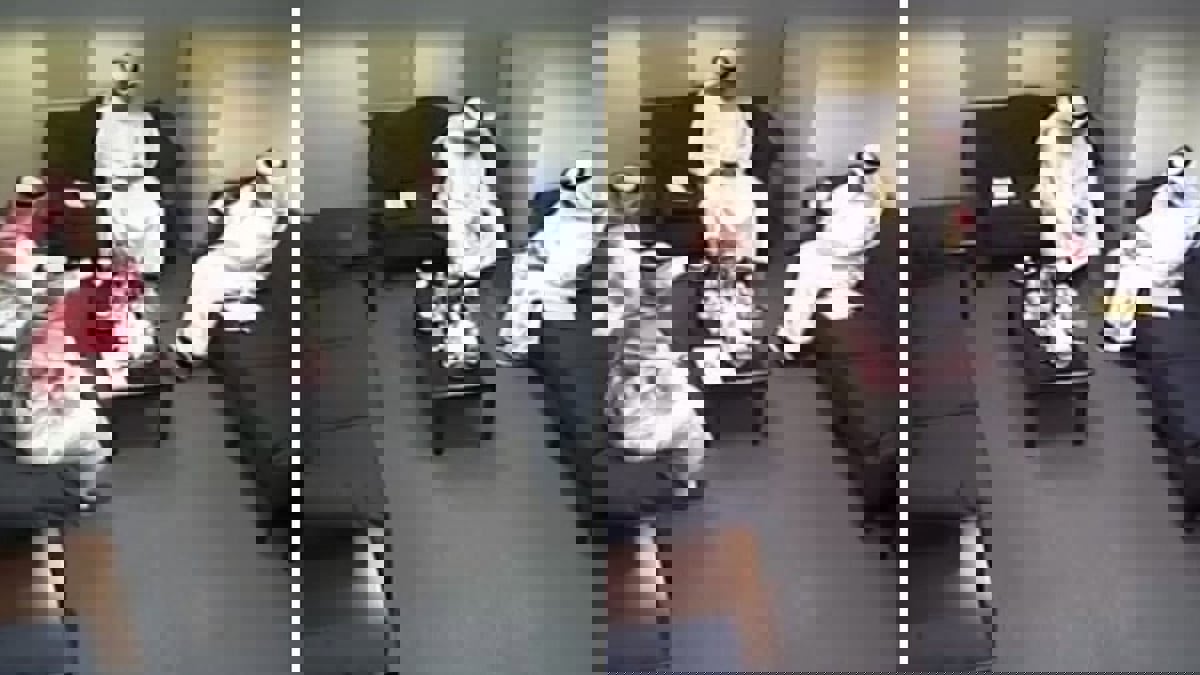 الكويت.. إسدال الستار على قضية "تسريبات أمن الدولة" بتبرئة فيصل السلمان وناصر الطيار