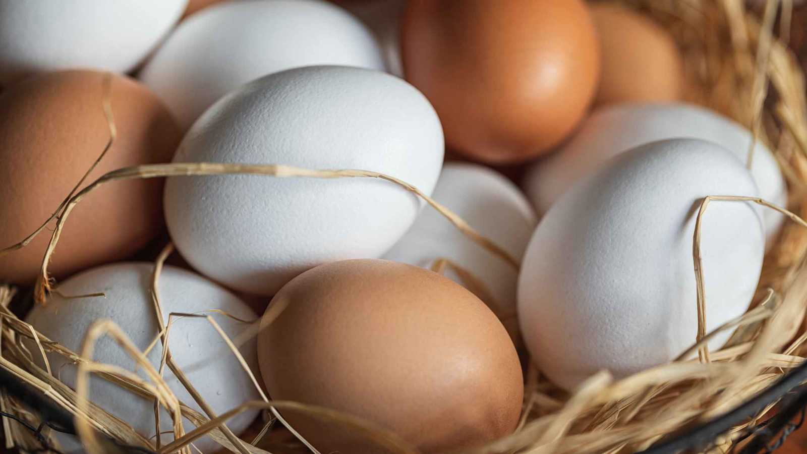 أبيض أم بني.. هل يحدد لون البيض قيمته الغذائية؟