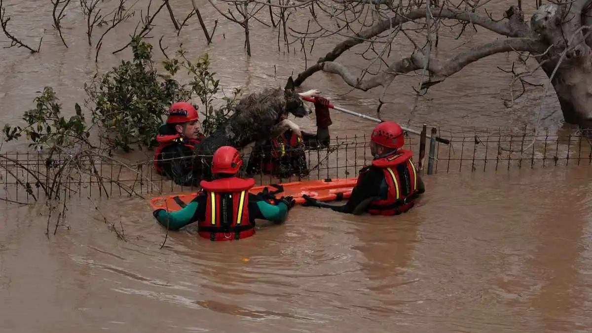 الاختلال المناخي يضرب مجددًا.. فيضانات تداهم مالقة جنوبي إسبانيا (فيديو)