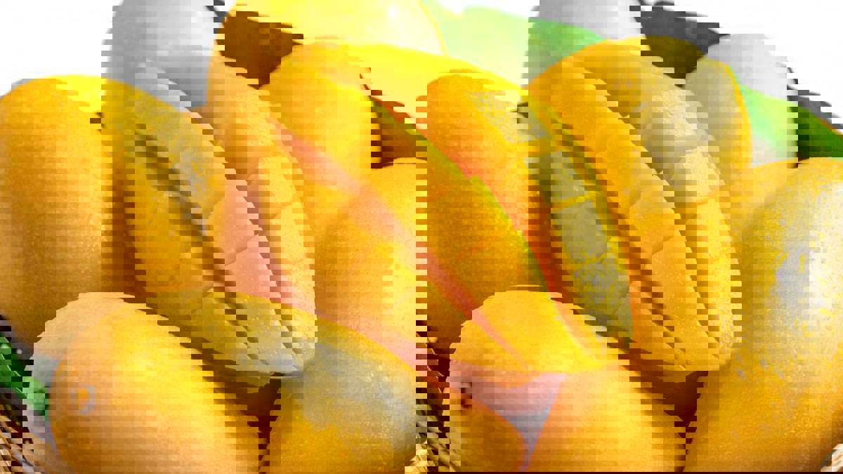 مصري يطعن شقيقه بسكين بسبب حبة مانجا