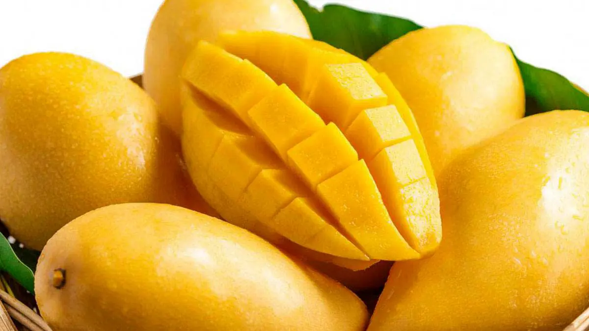 مصري يطعن شقيقه بسكين بسبب حبة مانجا