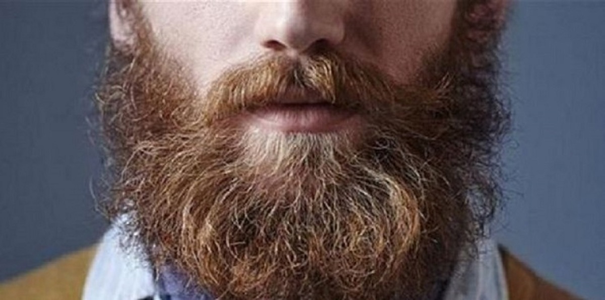 ابتكار مضادات حيوية جديدة مصدرها "اللحية"