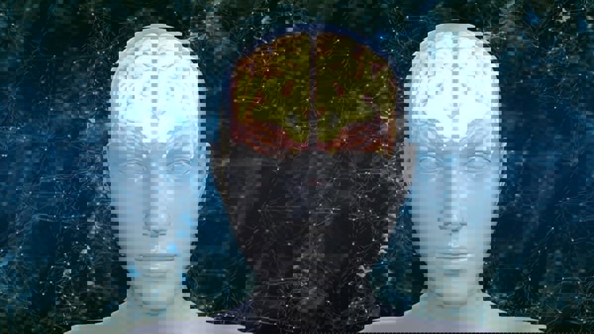 تفوق المتوقع.. دراسة تكشف سعة تخزين الدماغ البشري