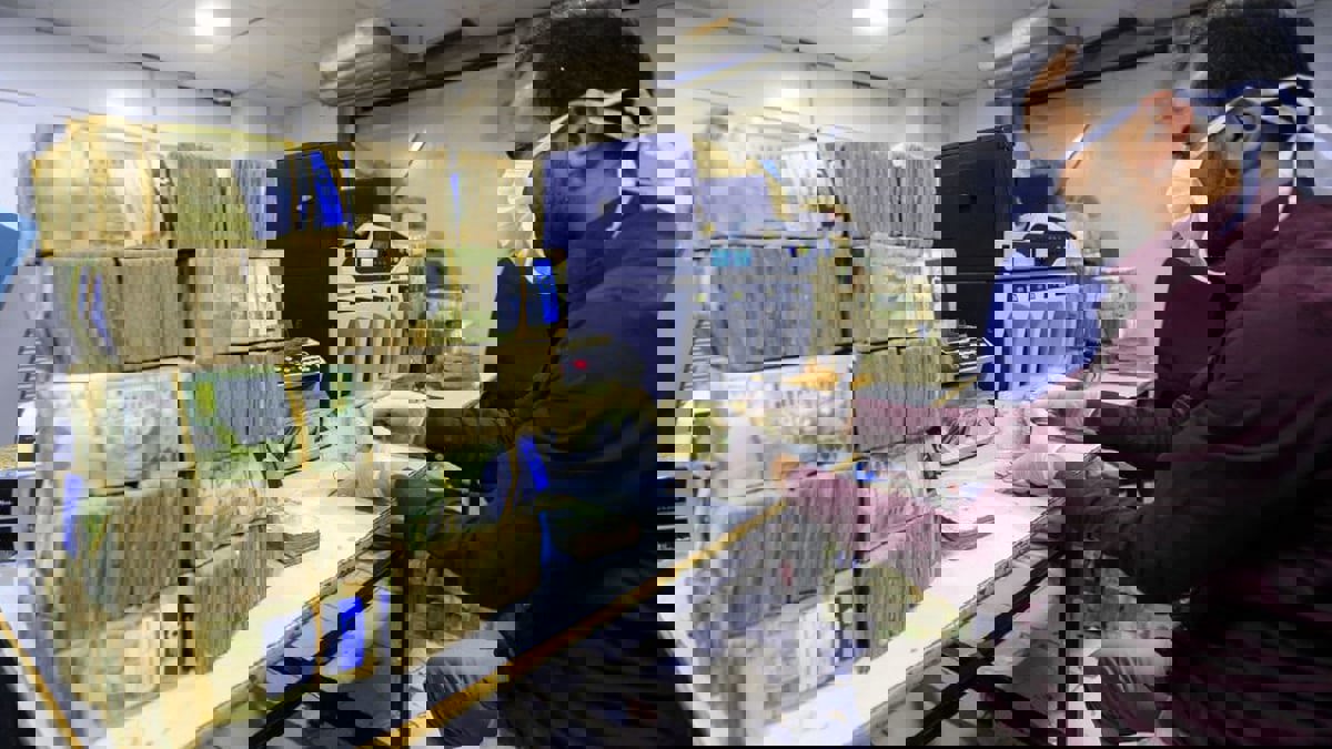 الريال اليمني يصل لأدنى مستوى على الإطلاق أمام الدولار