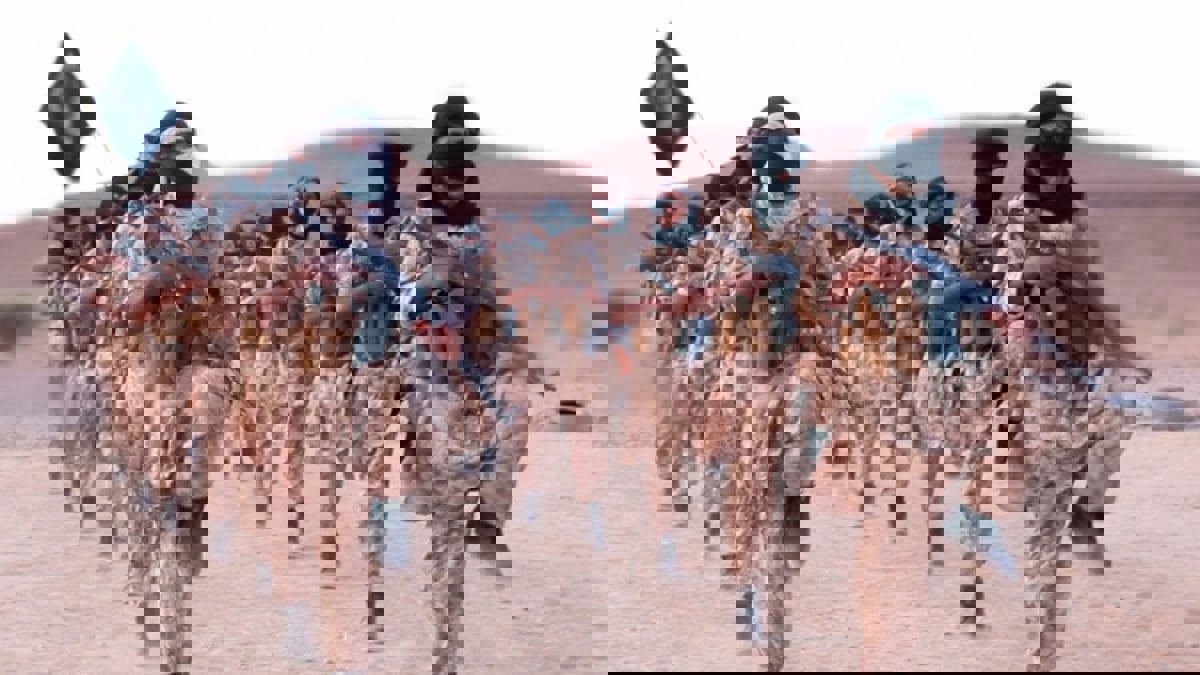 تمويل الإرهاب