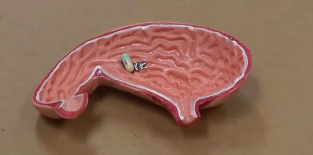 بالفيديو.. ابتكار روبوت دقيق يزحف داخل الجسم لإيصال الأدوية