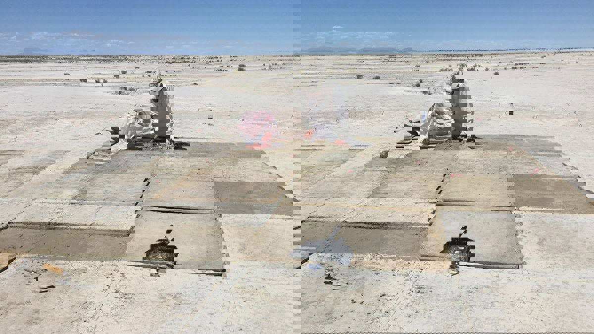 موقع في صحراء يوتا الأمريكية يكشف عن استخدام البشر للتبغ قبل 12300 عام