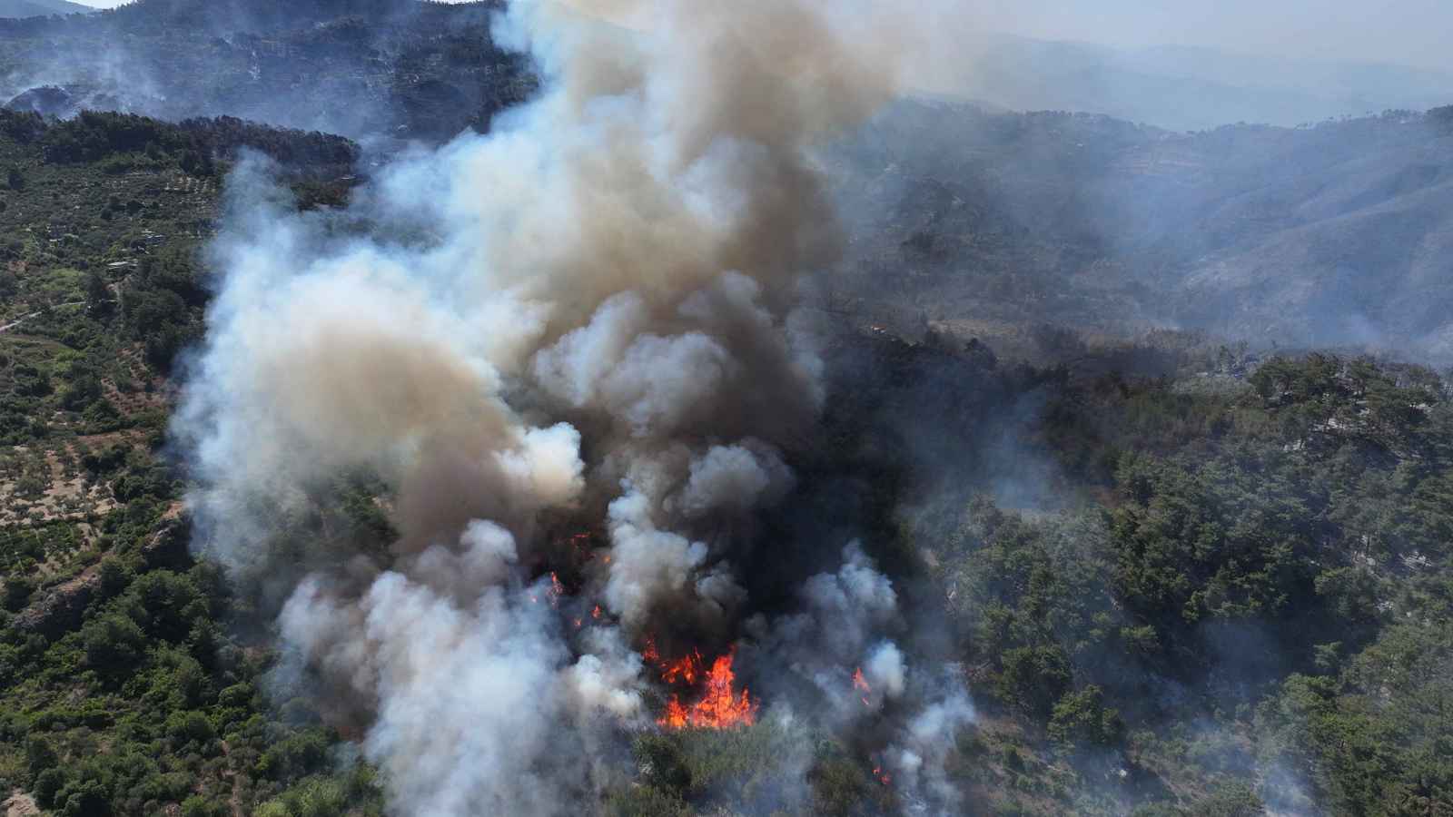 حرائق اللاذقية تلتهم أكثر من 16 ألف هكتار من الغابات