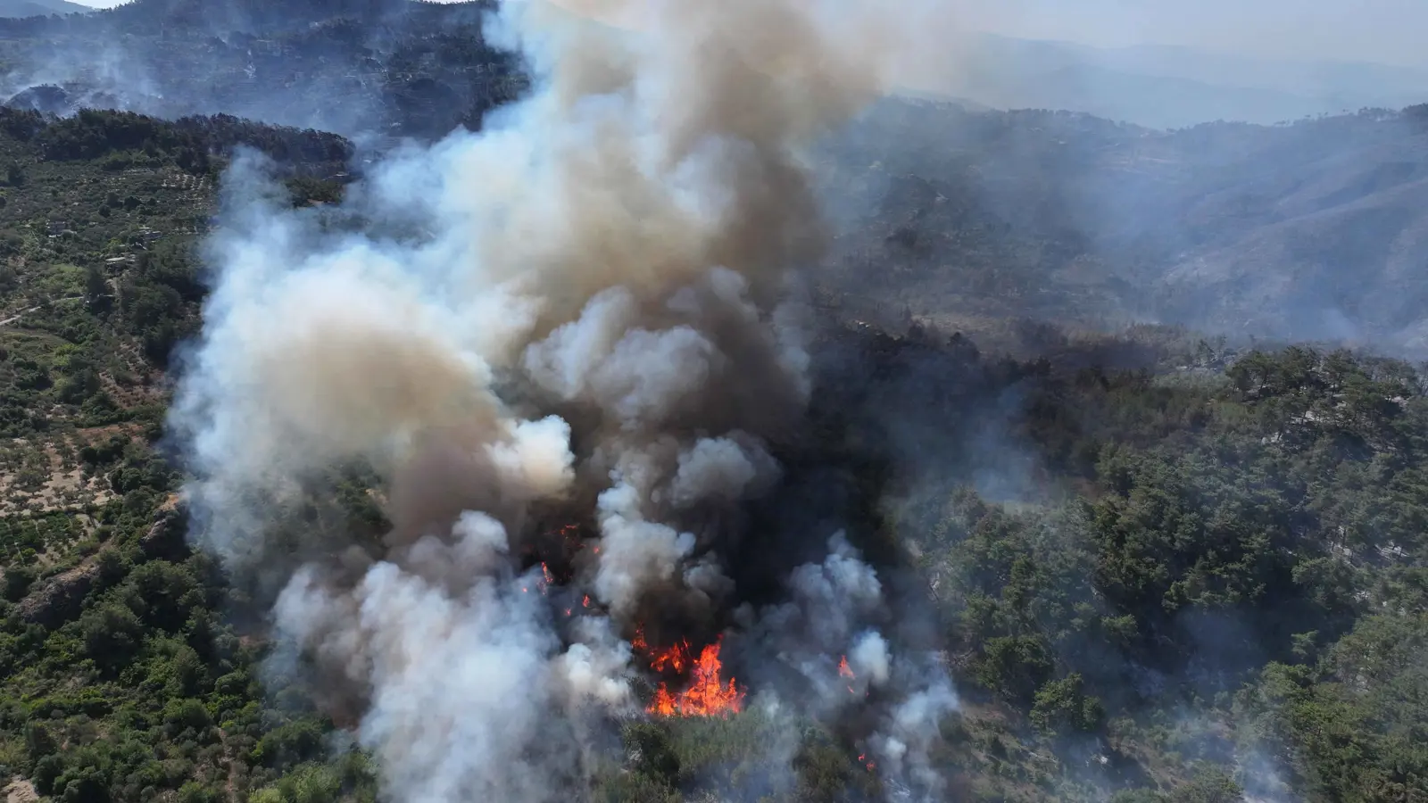 حرائق اللاذقية تلتهم أكثر من 16 ألف هكتار من الغابات