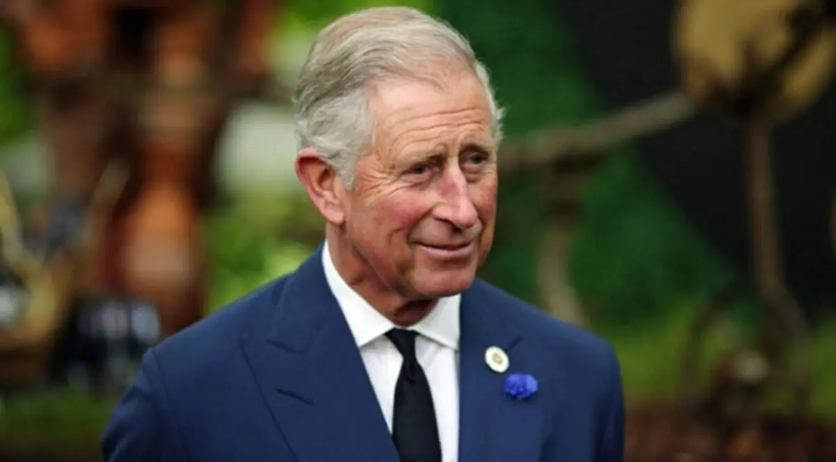 القضاء يأمر بنشر رسائل بين الأمير تشارلز ووزراء