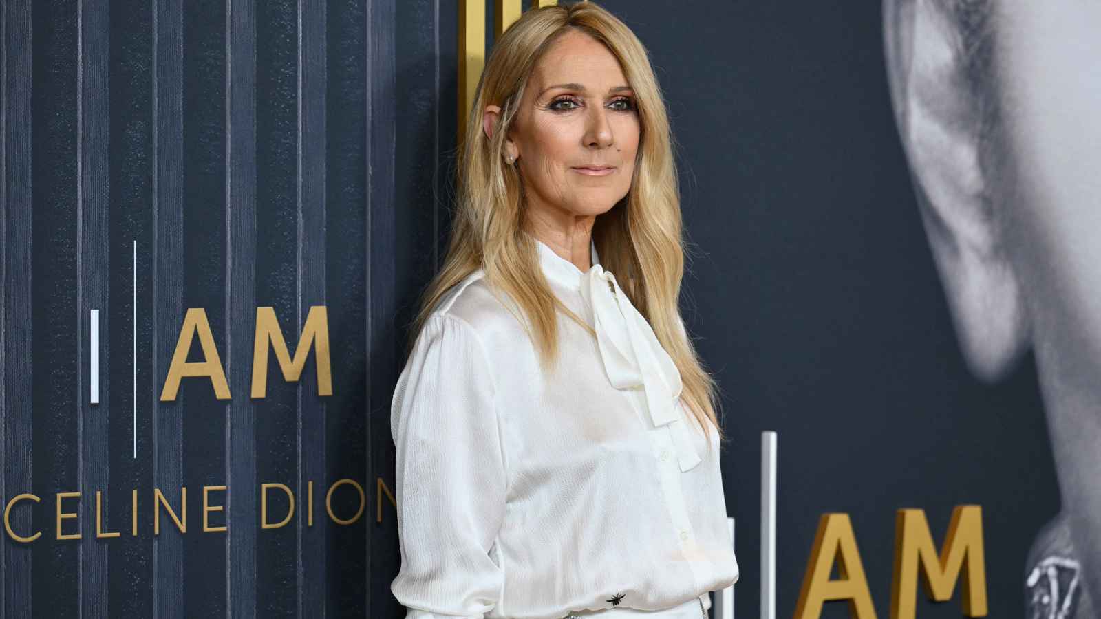 سيلين ديون تحذّر من استخدام اسمها وصوتها في الذكاء الاصطناعي