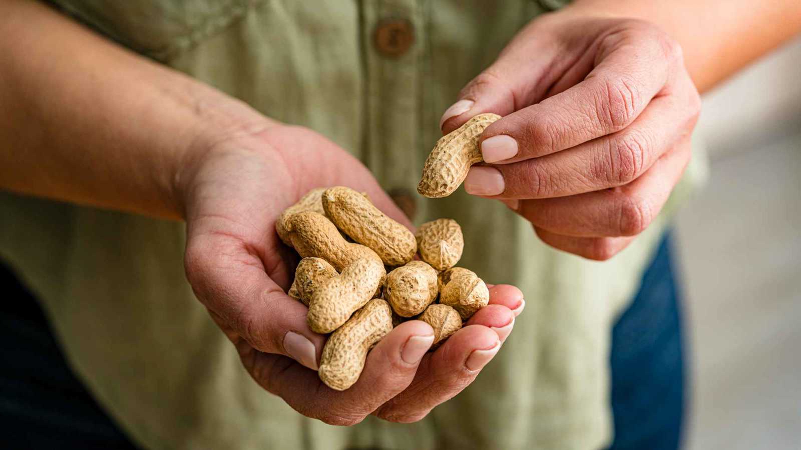 80 حبة فول سوداني يومياً.. وصفة طبيعية للوقاية من هذا المرض