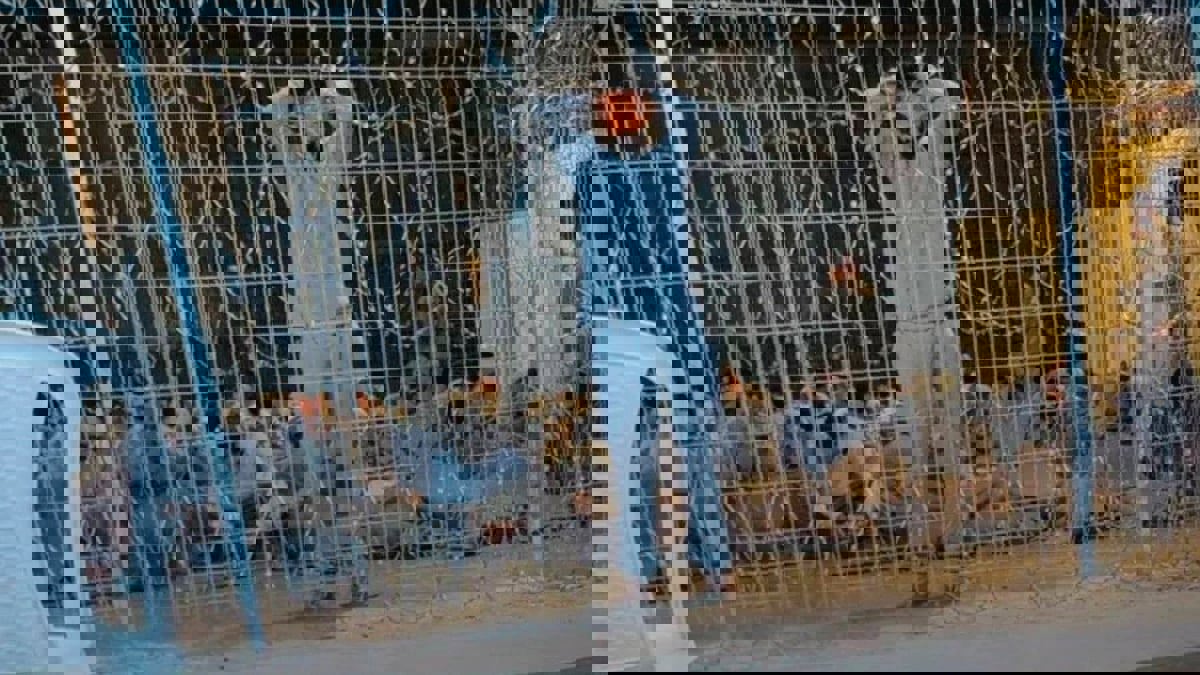 بعد الكشف عن تعذيب معتقلين فلسطينيين فيه.. هل يغلق "سدي تيمان" الإسرائيلي؟