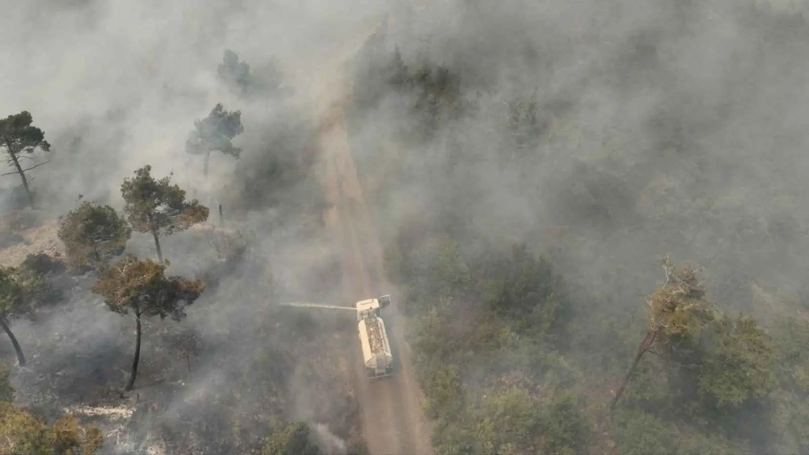 سوريا تعلن نجاح فرق الإطفاء في وقف تمدد حرائق الساحل (فيديو وصور)