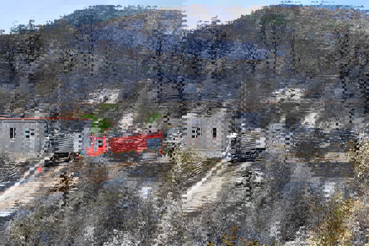  هل تنجح "الدبلوماسية الخضراء" في التصدي لتغير المناخ بتونس؟  