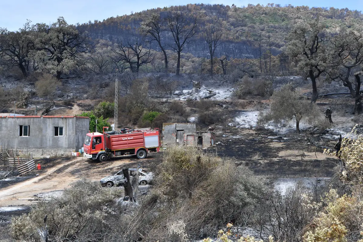  هل تنجح "الدبلوماسية الخضراء" في التصدي لتغير المناخ بتونس؟  