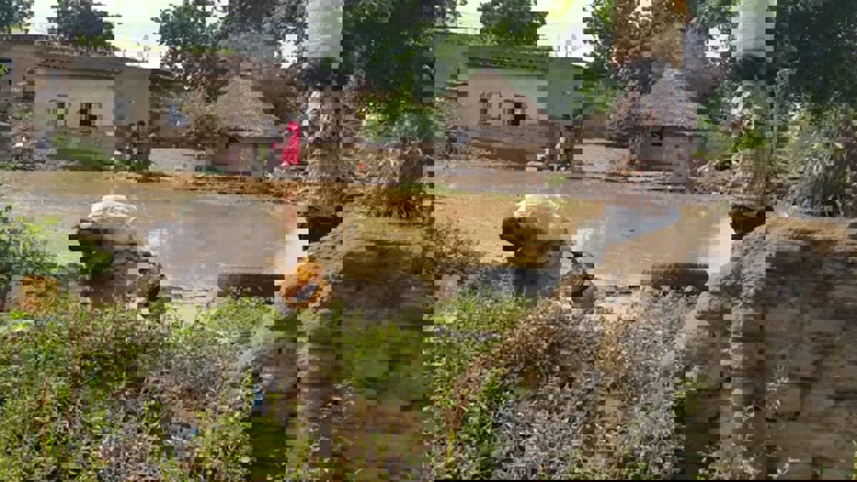 "سنجة" السودانية.. إنسان العصر الحجري مرّ من هنا (صور)