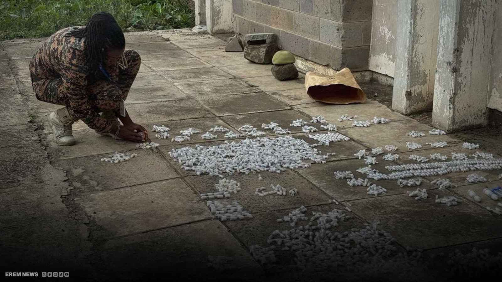 "قرصنة النمل".. الشرطة الكينية تطيح بشبكة تهريب غريبة (فيديو إرم)