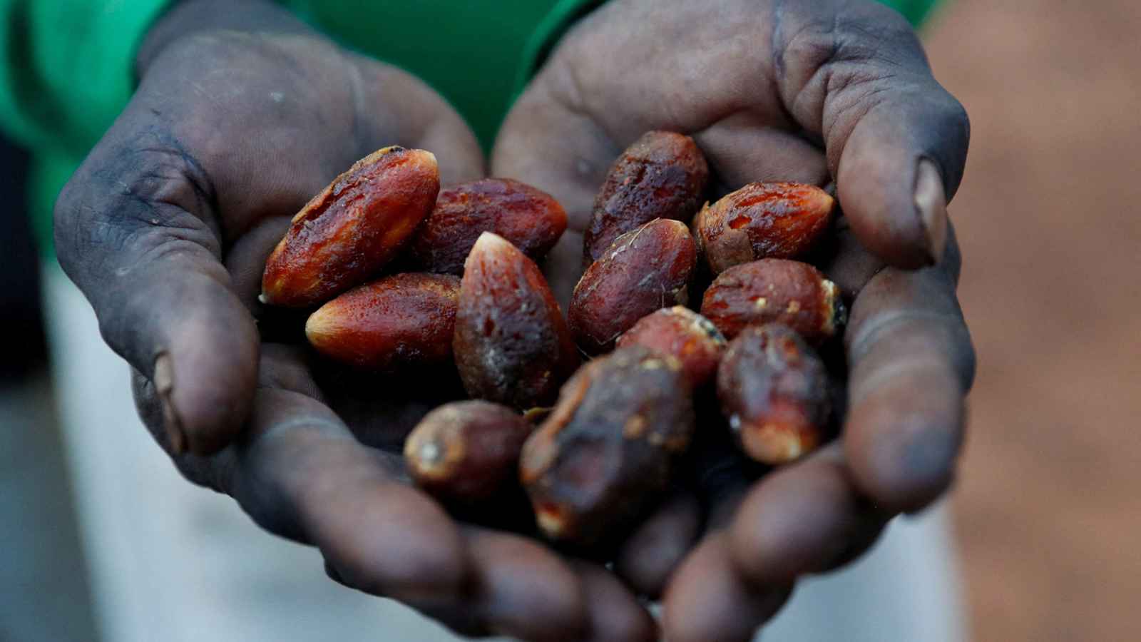 تقرير أممي: أكثر من 24 مليون شخص مهددون بالجوع في السودان