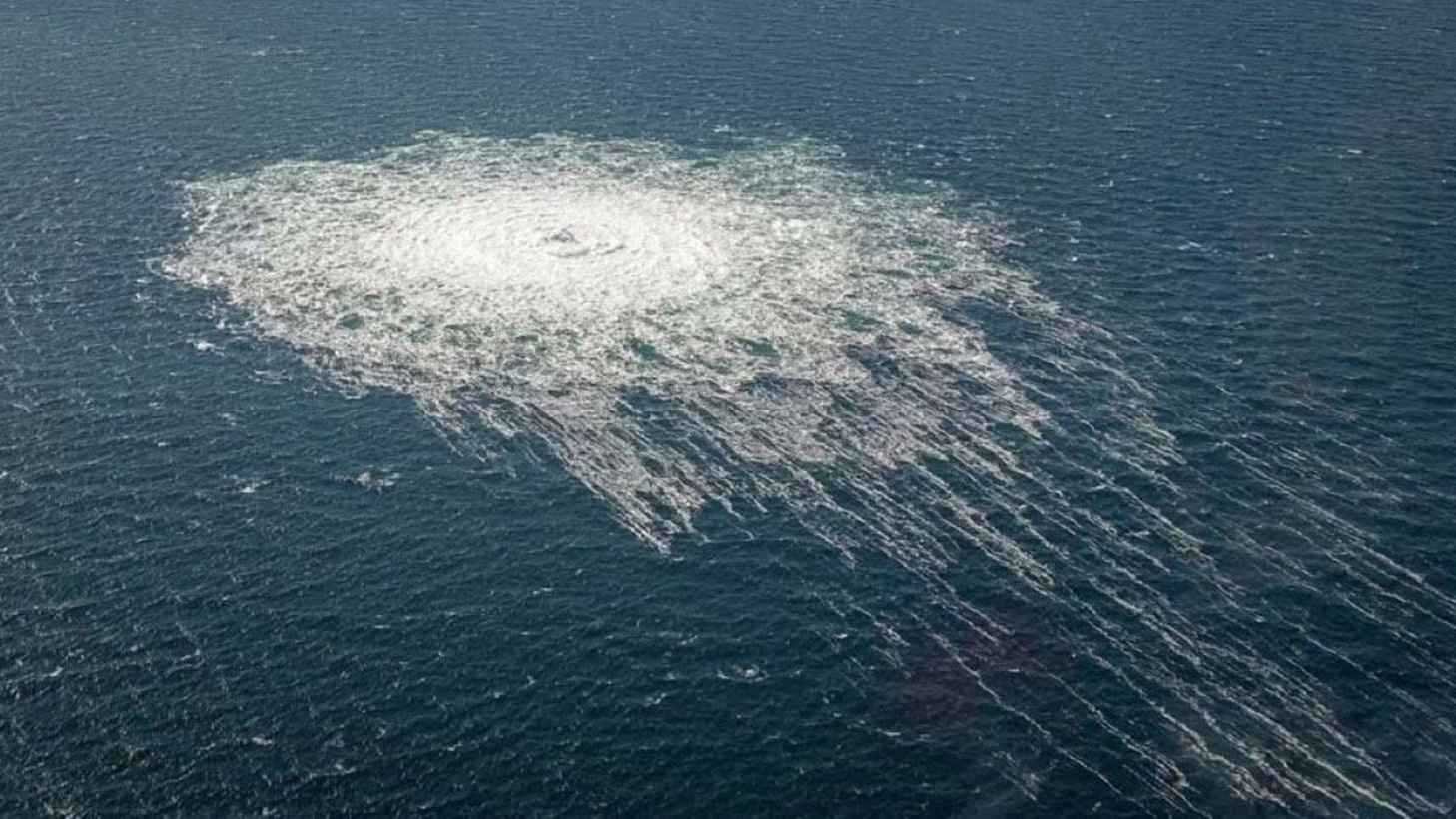 "زيلينسكي بريء"..  ما تفاصيل اعتقال مخرّب خط أنابيب "نورد ستريم"؟