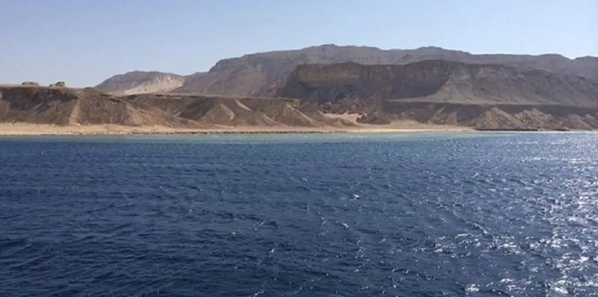 مصر.. أول حكم قضائي ضد معارضي اتفاقية "تيران وصنافير" 