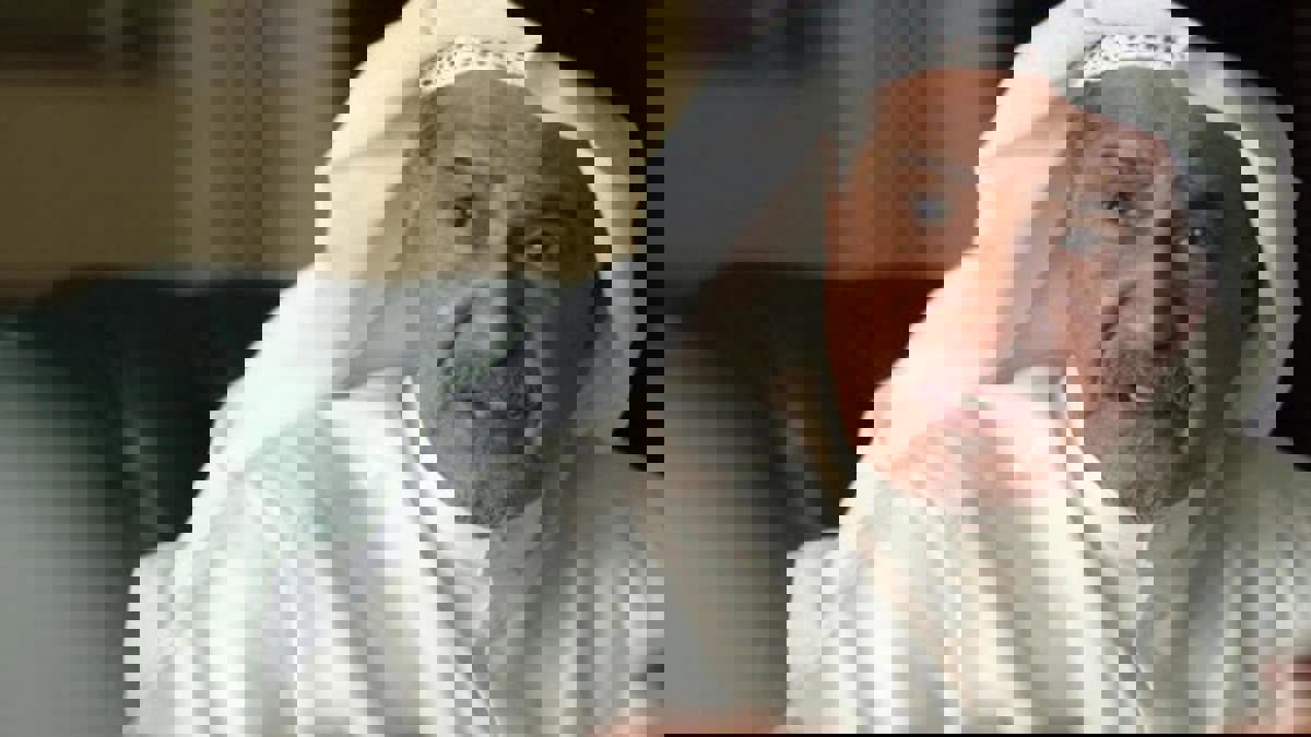 الفنان الكويتي جاسم النبهان يتعرض لوعكة صحية مفاجئة ويدخل المستشفى