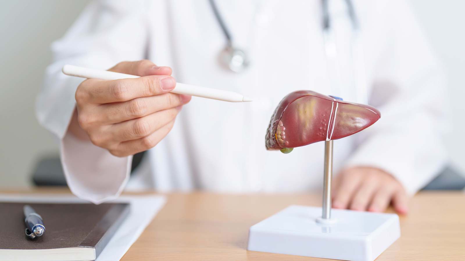 فطر معوي شائع قد يساهم في الوقاية من مرض الكبد الدهني