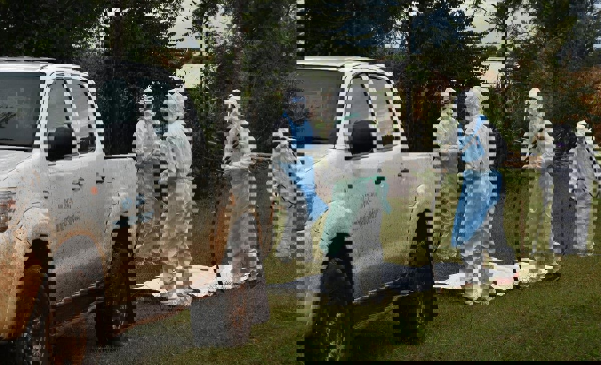 فيروس ماربورغ.. أعراضه وعلاجه ومتى تحدث الوفاة؟