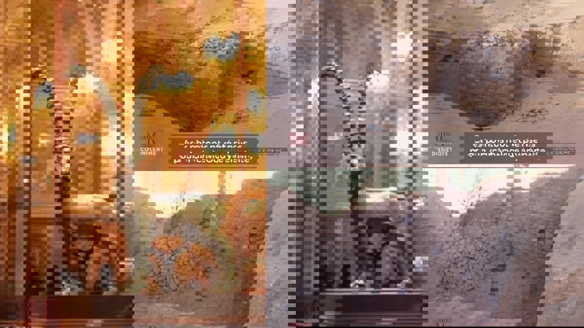 تحقيق فرنسي يكشف تورط مجموعة تابعة لحمد بن جاسم في نهب قطعة أثرية نادرة من اليمن