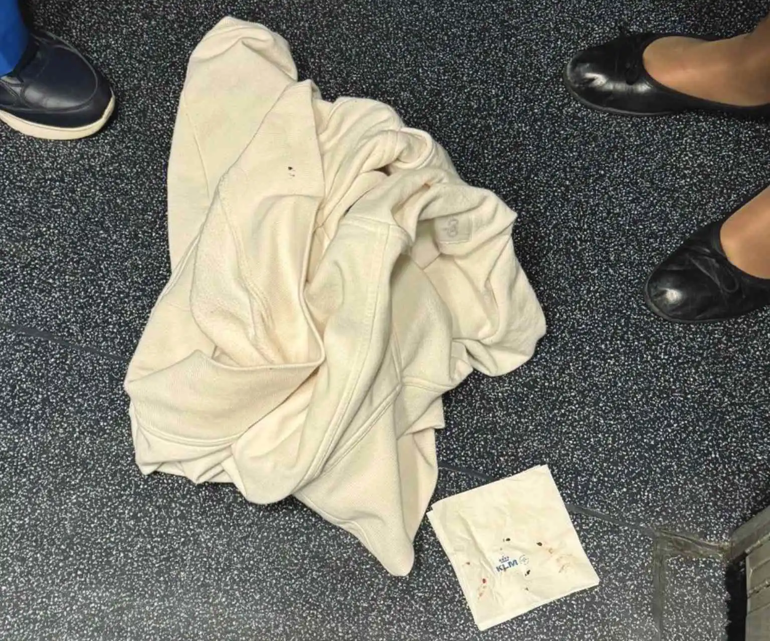 العثور على حشرات على متن طائرة.