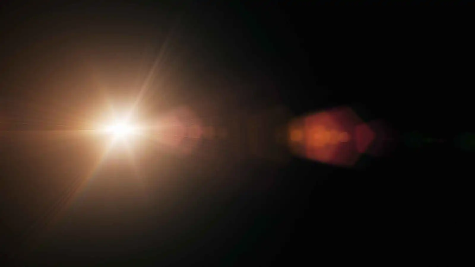 الكائنات الحية تصدر انبعاثات ضوئية قبل وبعد الموت