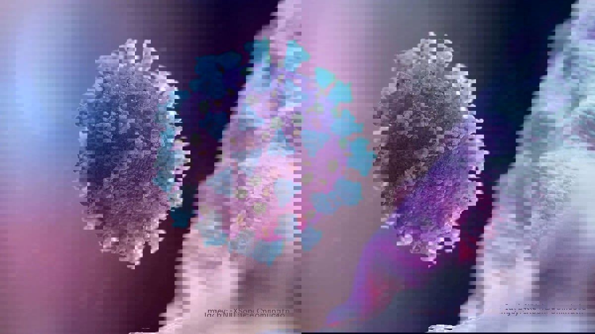 كندا.. أول إصابة بالسلالة (بي.إيه.2.86) شديدة التحور من أوميكرون 