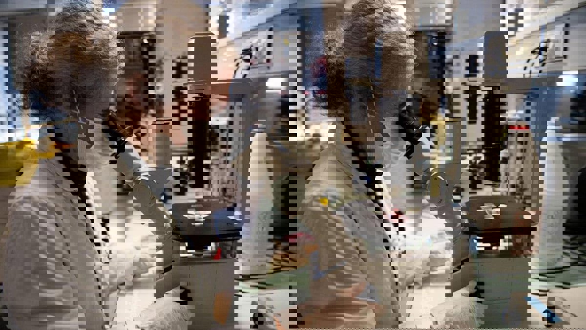 "عشبة البط".. نبات قادر على تجميع المعادن النادرة من الماء