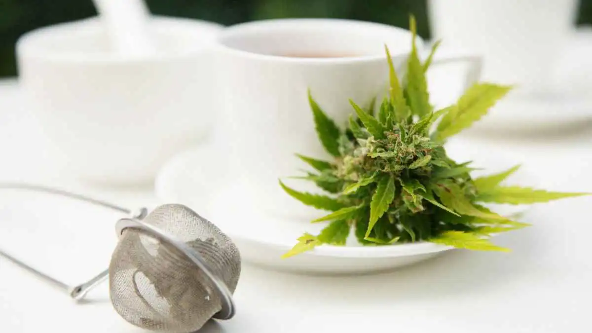 سحب رخصة قيادة روسي بسبب "شاي صيني"