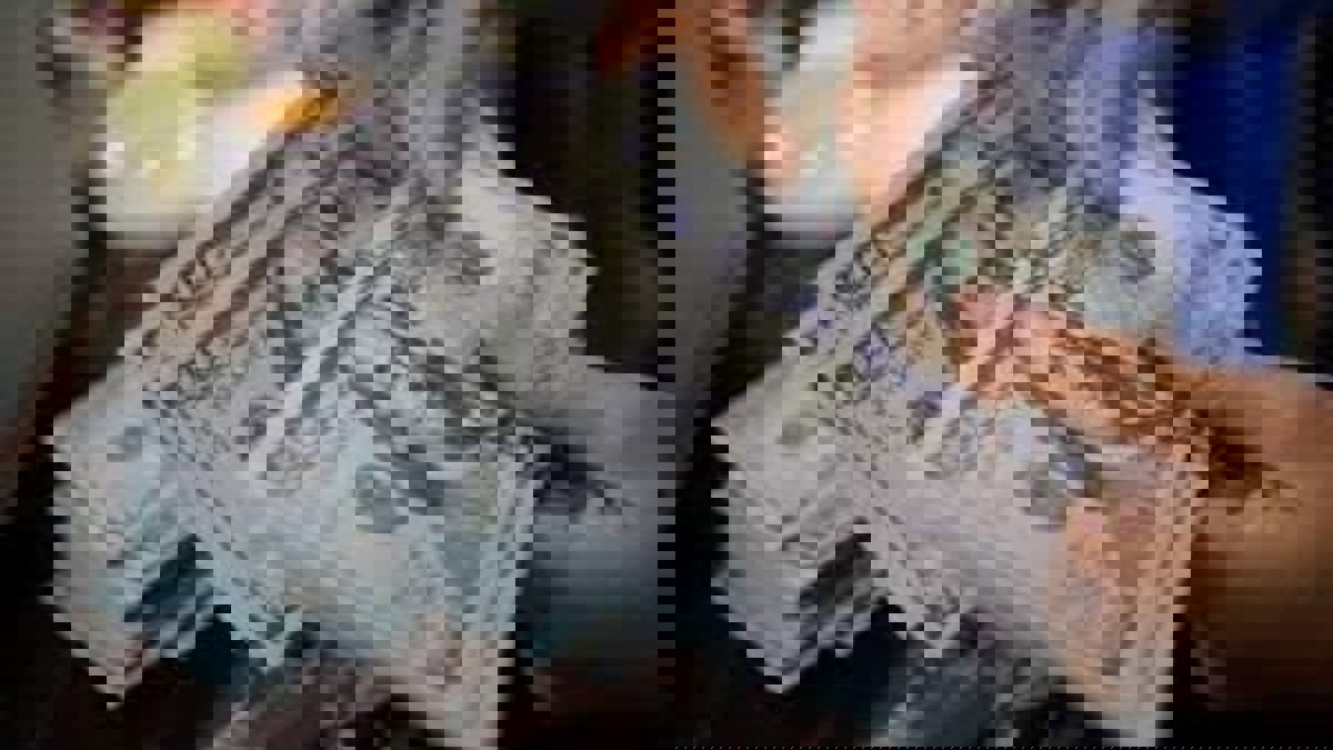 الدولار عند أعلى مستوى في 10 أشهر مع استمرار مخاوف الفائدة