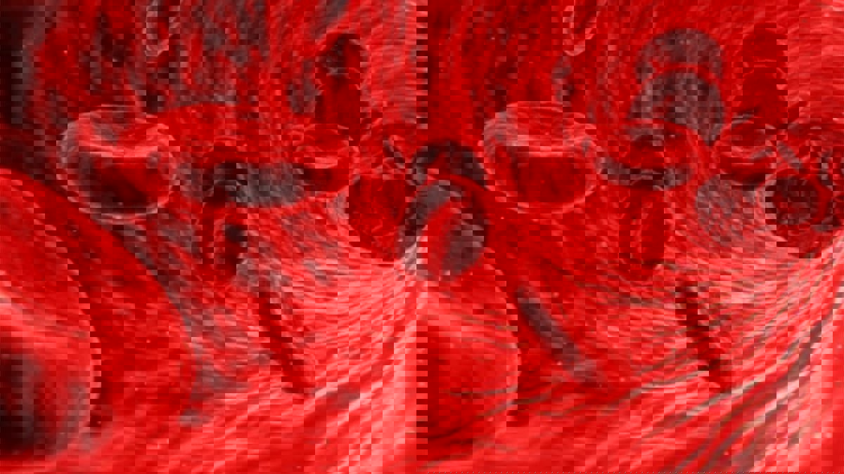 أمل جديد للقضاء على السكري.. تطوير جزيء لتوليد خلايا منتجة للأنسولين‎‎