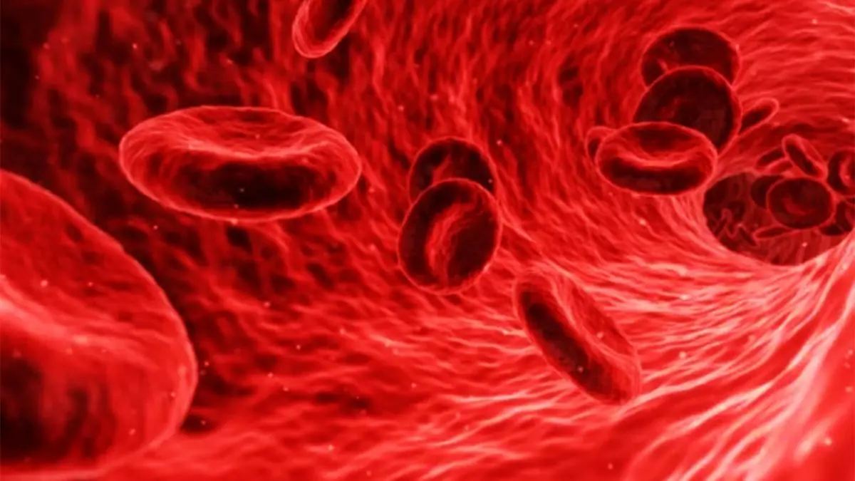 أمل جديد للقضاء على السكري.. تطوير جزيء لتوليد خلايا منتجة للأنسولين‎‎