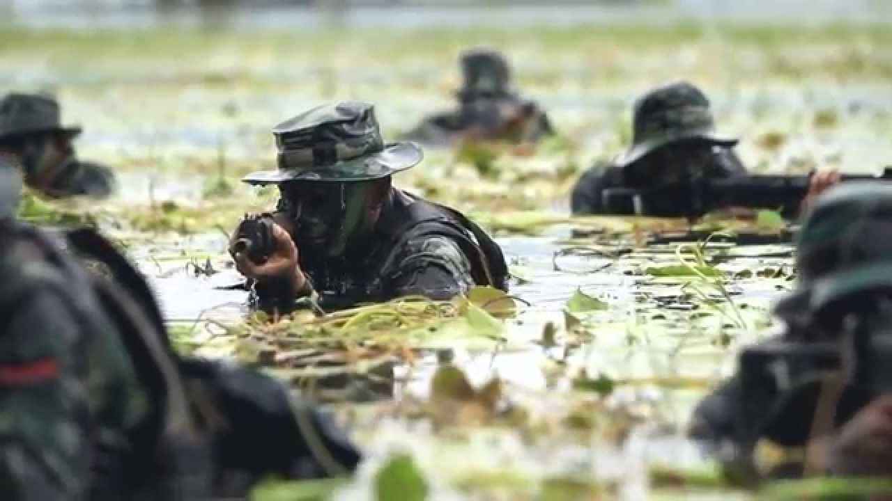 الجيش الإندونيسي يعلن مقتل 18 انفصاليا بإقليم بابوا