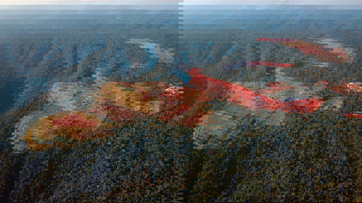 تعرف على أجمل الغابات حول العالم