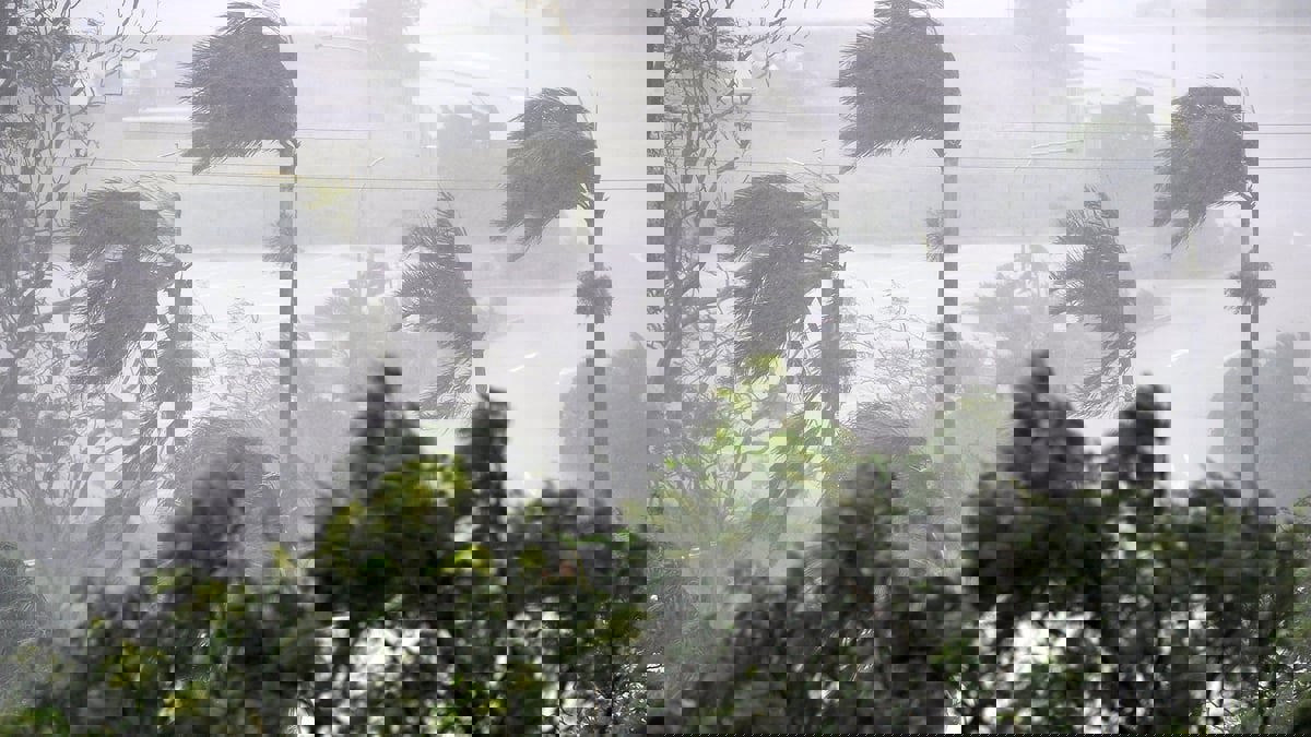 تركيا.. رياح عاتية تقتل 4 وتصيب 19 في إسطنبول