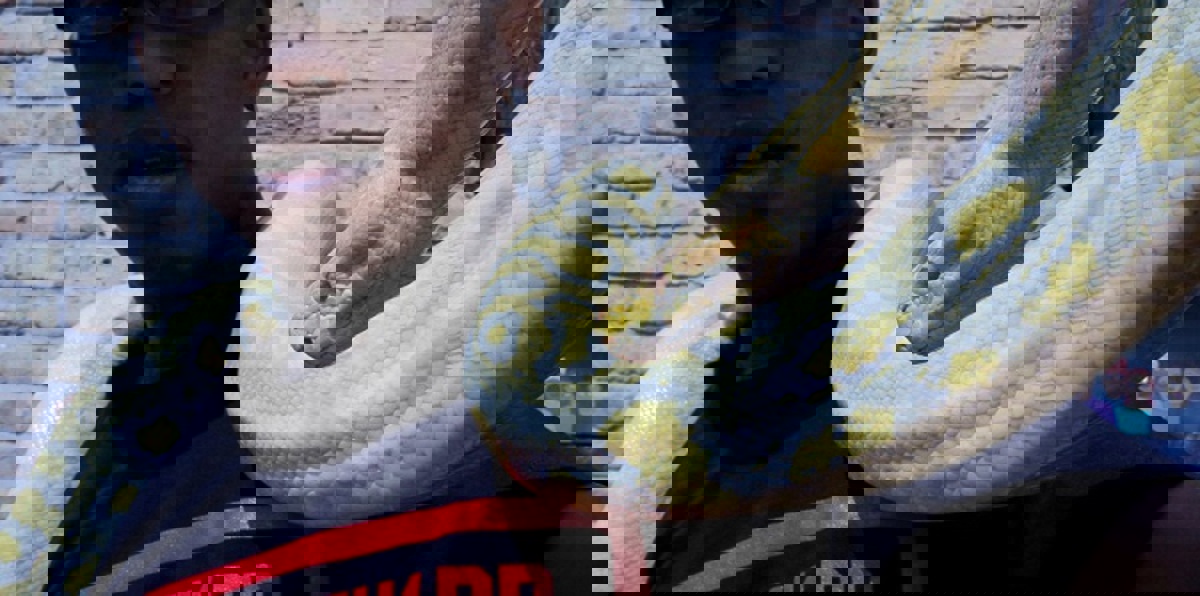 بعد اختفائه لأسبوعين.. ثعبان عملاق يظهر مجددًا في ألاسكا (صورة)