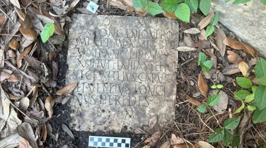 اكتشاف الحجر في حديقة المنزل