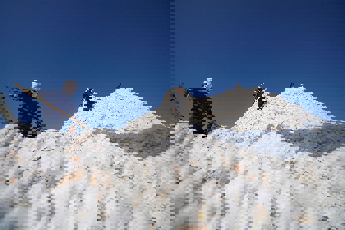 أمريكا تدرج 3 شركات صينية بقائمة كيانات تُخضع الويغور للعمل القسري