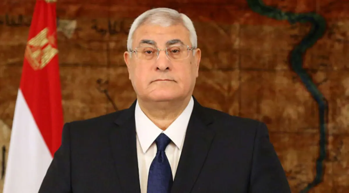 19 حزبا مصريا تتحالف وترشح عدلي منصور لرئاسة البرلمان