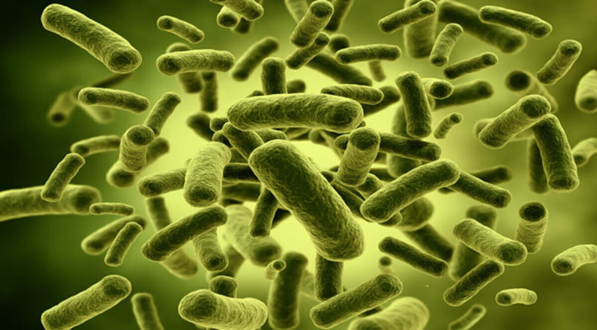 الميكروبات تكشف سرّ بدء الحياة على كوكب الأرض