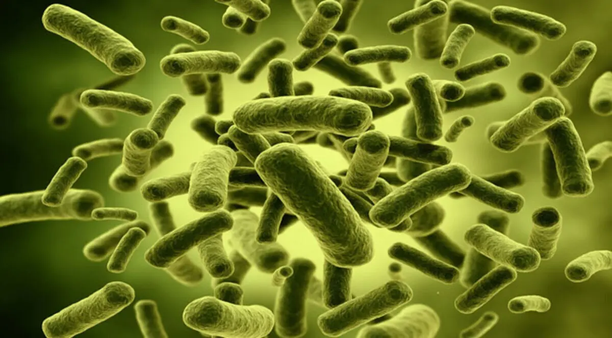 الميكروبات تكشف سرّ بدء الحياة على كوكب الأرض