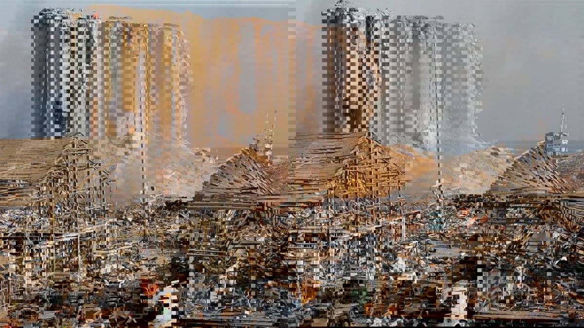 محكمة لبنانية ترفض دعاوى "حسان دياب" و 3 وزراء ضد الدولة