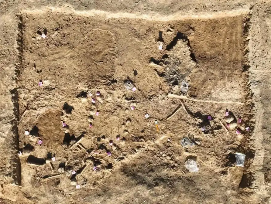 المقبرة المكتشفة